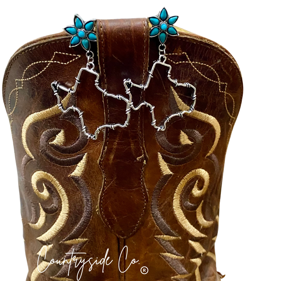 Texas Dangle Trendy Earrings